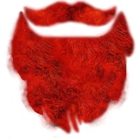 Red Beard Insurance logo, Red Beard Insurance contact details