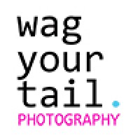 Wag Your Tail Photography logo, Wag Your Tail Photography contact details