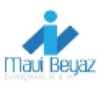 MAVİ BEYAZ İNSAN KAYNAKLARI logo, MAVİ BEYAZ İNSAN KAYNAKLARI contact details