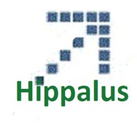 Hippalus Technologies logo, Hippalus Technologies contact details