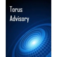 Torus Advisory logo, Torus Advisory contact details