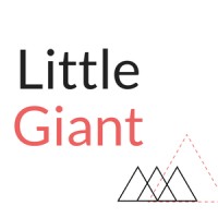 Little Giant Marketing logo, Little Giant Marketing contact details