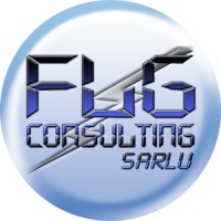 FLG CONSULTING sarlu logo, FLG CONSULTING sarlu contact details