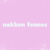 nøkken fennec logo, nøkken fennec contact details