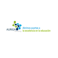 AURIGA CONSULTING logo, AURIGA CONSULTING contact details