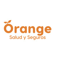 Orange seguros Ltda logo, Orange seguros Ltda contact details