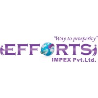 EFFORTS IMPEX PRIVATE LIMITED logo, EFFORTS IMPEX PRIVATE LIMITED contact details