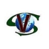 V-Solve Global logo, V-Solve Global contact details