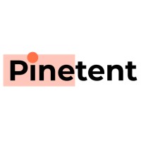 Pinetent Dijital Ajans logo, Pinetent Dijital Ajans contact details