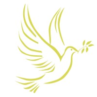 Projects for Peace logo, Projects for Peace contact details