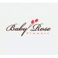 babyroseflowers logo, babyroseflowers contact details