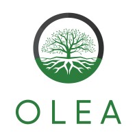 OLEAJOR logo, OLEAJOR contact details