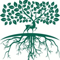 Tenderlyrooted logo, Tenderlyrooted contact details