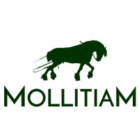 Mollitiam logo, Mollitiam contact details