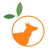 German Shepherd Rescue of Orange County logo, German Shepherd Rescue of Orange County contact details