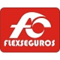 FLEX SEGUROS logo, FLEX SEGUROS contact details