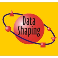 Data Shaping Solutions LLC logo, Data Shaping Solutions LLC contact details