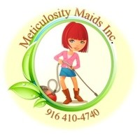 Meticulosity Cleaning logo, Meticulosity Cleaning contact details