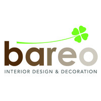 Bareo Co., Ltd. logo, Bareo Co., Ltd. contact details