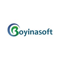 Boyinasoft logo, Boyinasoft contact details