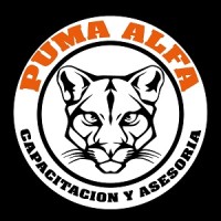 OTEC CAPACITACIONES PUMA ALFA LIMITADA logo, OTEC CAPACITACIONES PUMA ALFA LIMITADA contact details