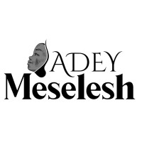 Adey Meselesh GmbH logo, Adey Meselesh GmbH contact details