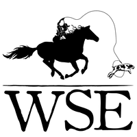 Wild Stallion Enterprises, LLC logo, Wild Stallion Enterprises, LLC contact details