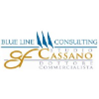 Blue Line Consulting s.r.l logo, Blue Line Consulting s.r.l contact details