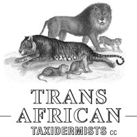 Trans African Taxidermists cc logo, Trans African Taxidermists cc contact details