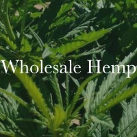 Midwest Hemp Supply logo, Midwest Hemp Supply contact details