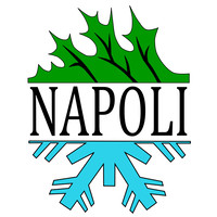 Napoli Professional Landscaping Inc. logo, Napoli Professional Landscaping Inc. contact details