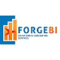 ForgeBI logo, ForgeBI contact details