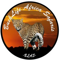 BushLife Africa Safaris (BLAS) logo, BushLife Africa Safaris (BLAS) contact details