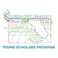 Florida State University Young Scholars Program logo, Florida State University Young Scholars Program contact details