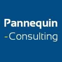 PANNEQUIN CONSULTING logo, PANNEQUIN CONSULTING contact details