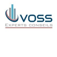 VOSS experts-conseils inc. logo, VOSS experts-conseils inc. contact details