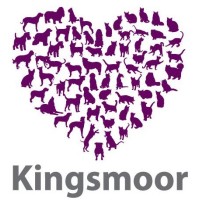 Kingsmoor Petfood Norge AS logo, Kingsmoor Petfood Norge AS contact details