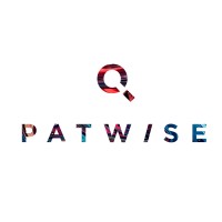 Patwise Consulting Solutions logo, Patwise Consulting Solutions contact details