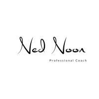 Ned Noon LLC logo, Ned Noon LLC contact details