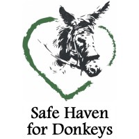 Safe Haven for Donkeys logo, Safe Haven for Donkeys contact details