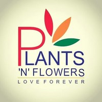 Plants N Flowers logo, Plants N Flowers contact details