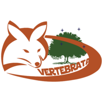 Vertebrata Ltda. logo, Vertebrata Ltda. contact details