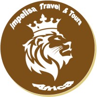 Impelisa Travel and Tours Ltd logo, Impelisa Travel and Tours Ltd contact details