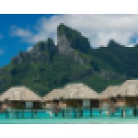 Donna Salerno Travel logo, Donna Salerno Travel contact details