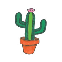 The Soft Cactus logo, The Soft Cactus contact details