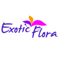 Exoticflora logo, Exoticflora contact details