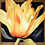 Dragonfire Gallery logo, Dragonfire Gallery contact details