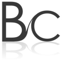 BJERKAAS CONSULT logo, BJERKAAS CONSULT contact details