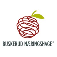 Buskerud Næringshage logo, Buskerud Næringshage contact details