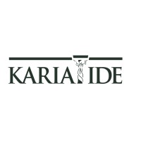 Kariatide AS logo, Kariatide AS contact details